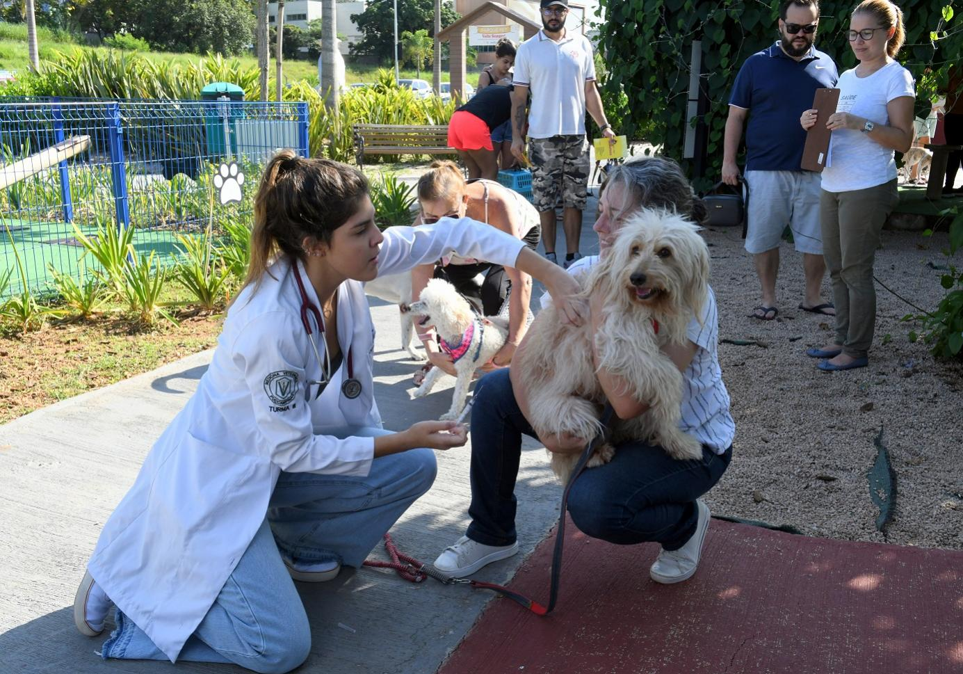 Prefeitura de Indaiatuba e UniMAX vacinam contra raiva 667 pets no último sábado (25)