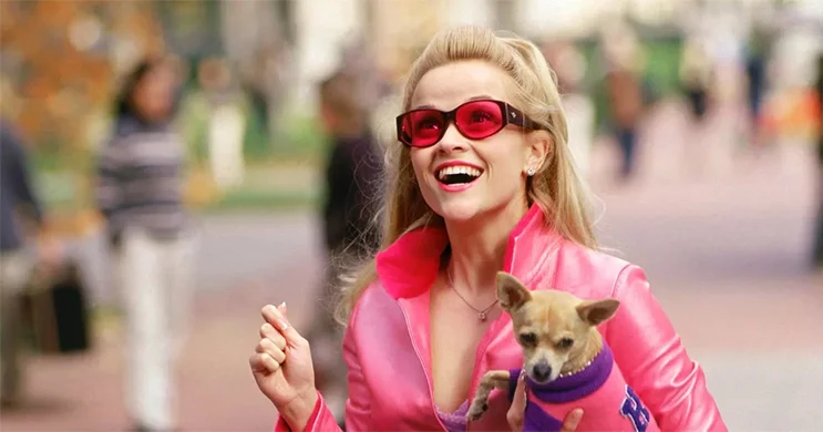 Amazon quer fazer “Legalmente Loira 3” e série derivada da franquia