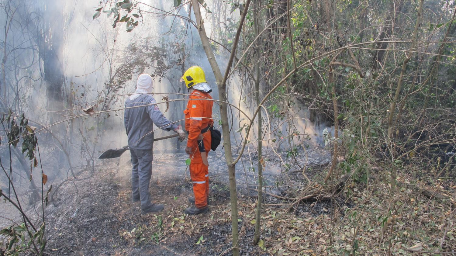 Defesa Civil de Indaiatuba alerta para o aumento de registro de focos de incêndio no período de seca