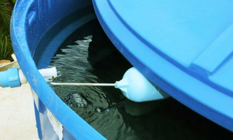 SAAE alerta para limpeza das caixas d’água afim de evitar proliferação do Aedes aegypti
