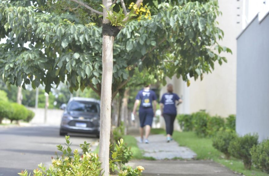 IBGE aponta Indaiatuba como quarta cidade mais arborizada da região de Campinas
