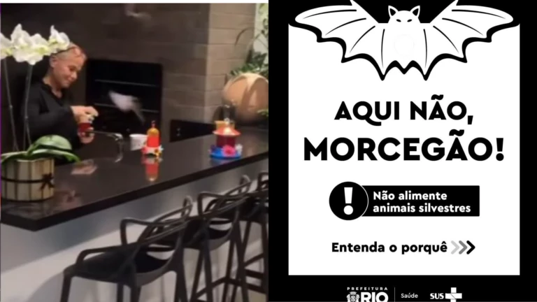 Após vídeo de Xuxa, Prefeitura do Rio faz alerta sobre morcegos