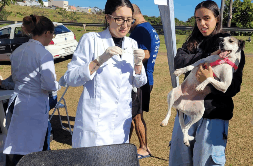 Secretaria da Saúde promove Vacinação Antirrábica para cães e gatos no próximo sábado (26/7)