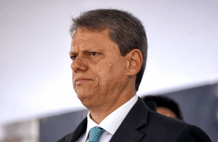 Preocupa ver pessoas sendo investigadas por fazerem críticas, diz Tarcísio