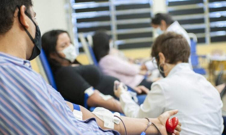 Fiec promove doação de sangue em setembro e reforça importância do Dia Mundial do Doador de Medula Óssea
