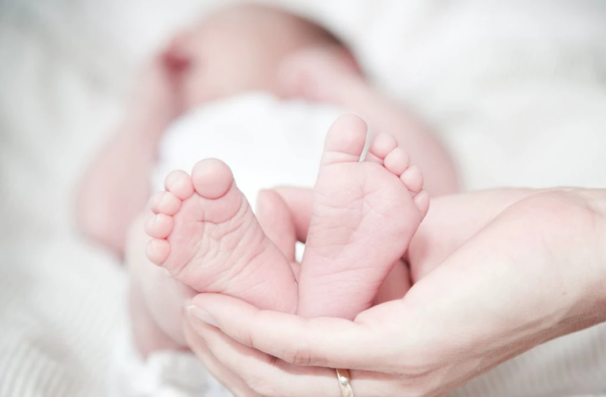 Pelo 2º ano, Helena lidera&hellip;