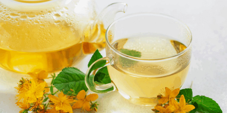 Para que serve a erva-de-são-joão? 3 chás e os seus benefícios para a saúde