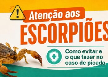 Secretaria de Saúde orienta população sobre prevenção e cuidados com escorpiões
