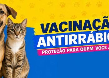 Secretaria de Saúde reforça cronograma da vacinação antirrábica para cães e gatos