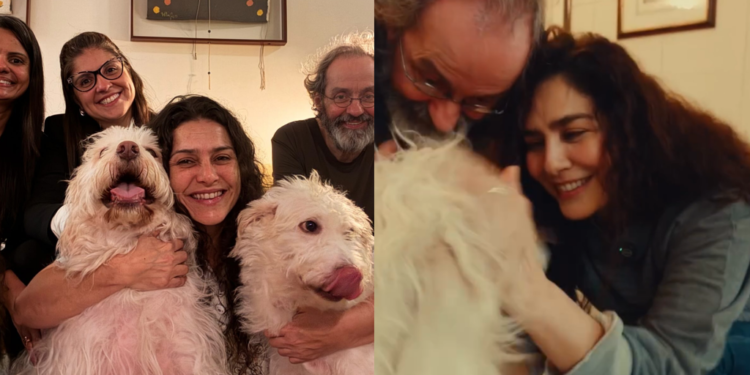 Letícia Sabatella comemora retorno de cachorro após decisão judicial: “Um alívio”