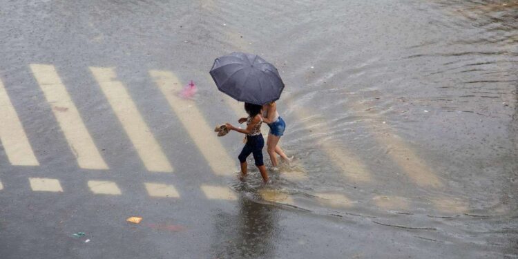 Brasil pode sentir efeitos do ‘super El Niño’ na primavera; veja previsões para diferentes regiões