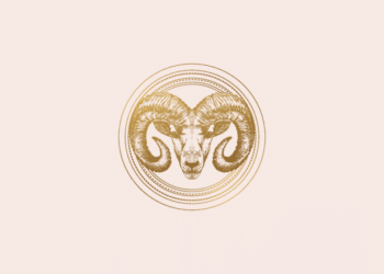 Tarot do dia: previsão para os 12 signos em 21/10/2026