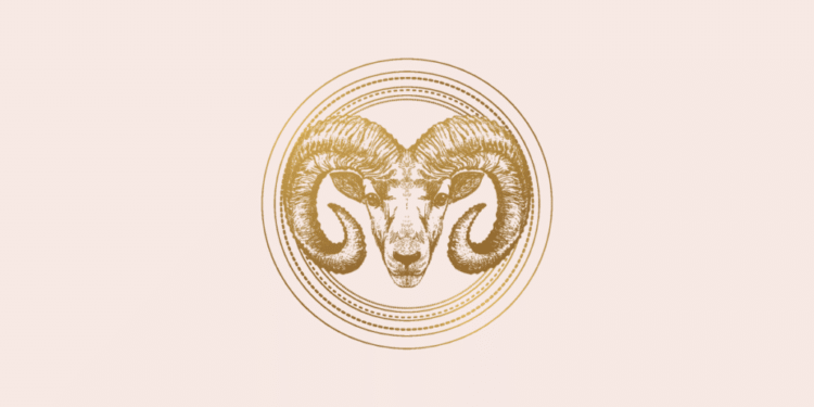Tarot do dia: previsão para os 12 signos em 21/10/2026