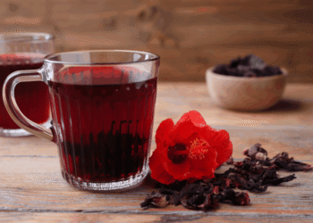 Hibisco faz bem para quê? Veja os benefícios e os cuidados ao consumir a planta