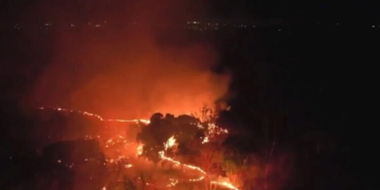 Incêndio em área da Embrapa mobiliza Exército e bombeiros em Teresina (PI)